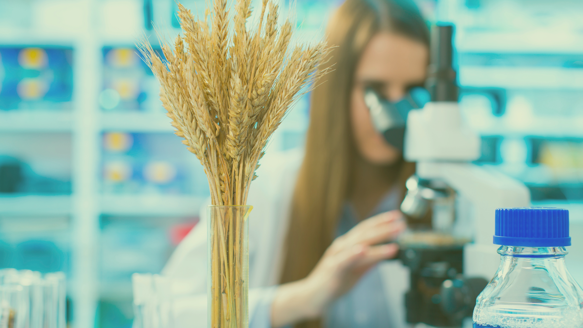 From Research to Real-World Value: Building a Nature-Positive Economy